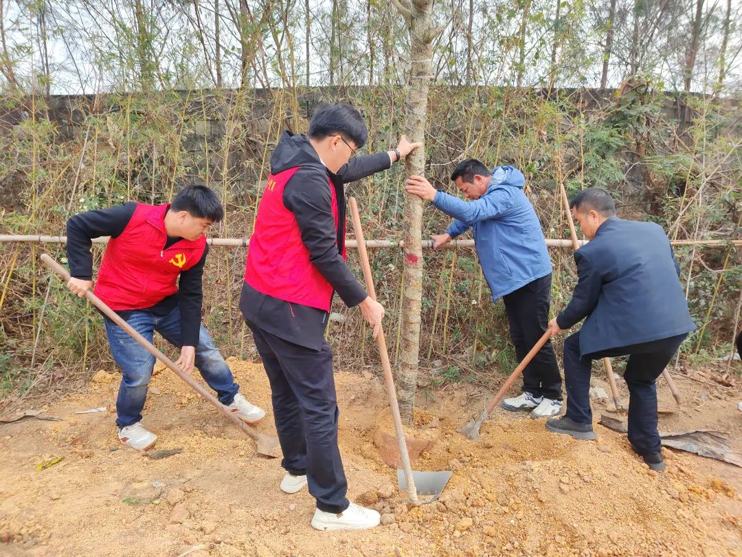 圖片3.jpg