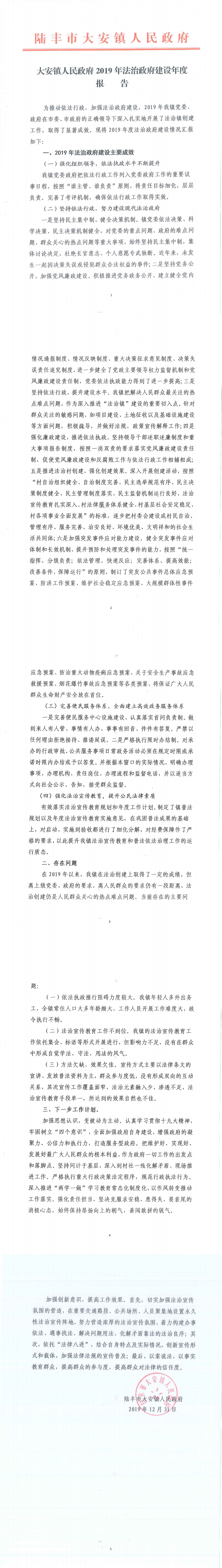 大安鎮(zhèn)人民政府2019年法治政府建設(shè)年度報告_0.png
