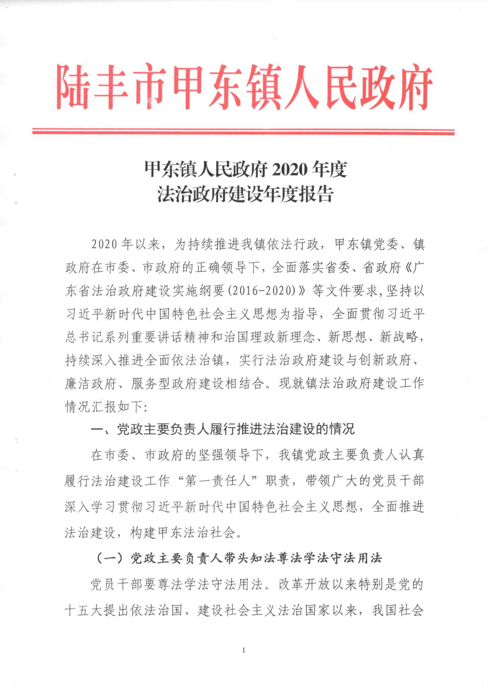 甲東鎮(zhèn)人民政府2020年度法治政府建設(shè)年度報告_00.png